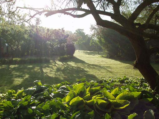 Tuin van Eden Enfaeridion Het Nieuwe Eden